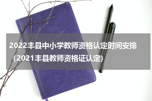 2022丰县中小学教师资格认定时间安排（2021丰县教师资格证认定）