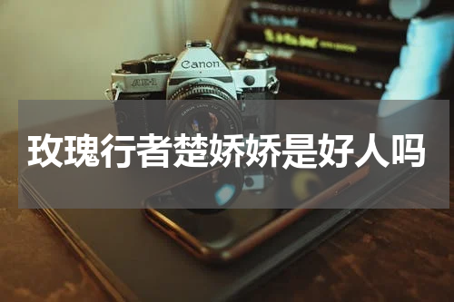 玫瑰行者楚娇娇是好人吗