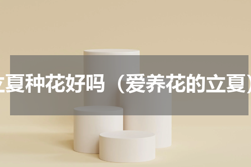 立夏种花好吗（爱养花的立夏）