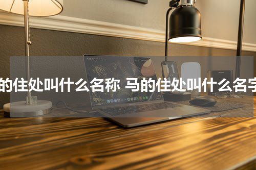 马的住处叫什么名称 马的住处叫什么名字
