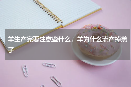 羊生产完要注意些什么，羊为什么流产掉羔子