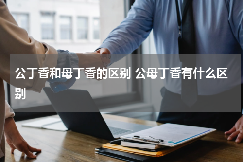 公丁香和母丁香的区别 公母丁香有什么区别