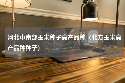 河北中南部玉米种子高产品种（北方玉米高产品种种子）