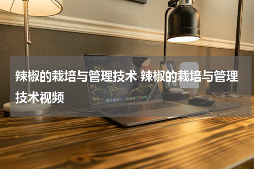 辣椒的栽培与管理技术 辣椒的栽培与管理技术视频
