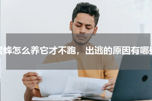 蜜蜂怎么养它才不跑，出逃的原因有哪些
