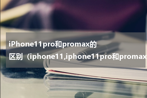 iPhone11pro和promax的区别（iphone11,iphone11pro和promax区别）