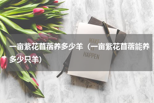一亩紫花苜蓿养多少羊（一亩紫花苜蓿能养多少只羊）