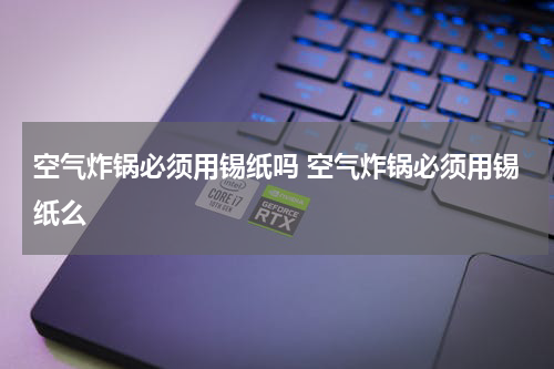 空气炸锅必须用锡纸吗 空气炸锅必须用锡纸么