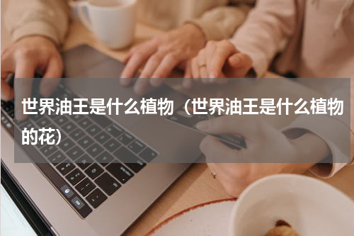 世界油王是什么植物（世界油王是什么植物的花）