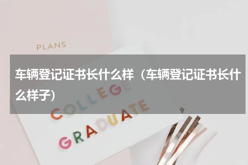 车辆登记证书长什么样（车辆登记证书长什么样子）