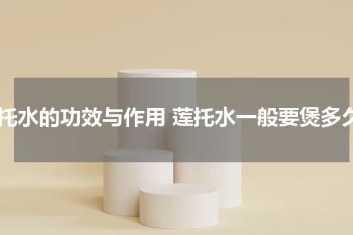 莲托水的功效与作用 莲托水一般要煲多久