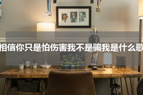 相信你只是怕伤害我不是骗我是什么歌