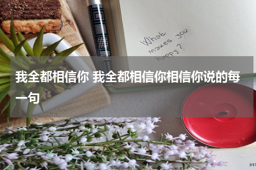 我全都相信你 我全都相信你相信你说的每一句
