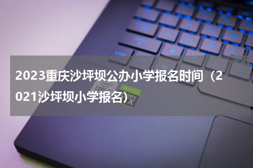 2023重庆沙坪坝公办小学报名时间（2021沙坪坝小学报名）