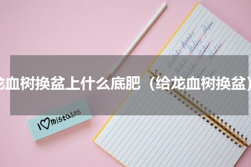 龙血树换盆上什么底肥（给龙血树换盆）