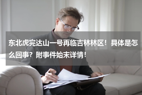 东北虎完达山一号再临吉林林区！具体是怎么回事？附事件始末详情！
