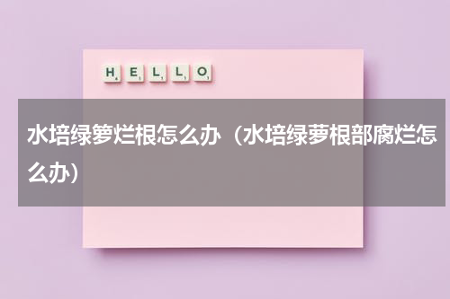 水培绿箩烂根怎么办（水培绿萝根部腐烂怎么办）