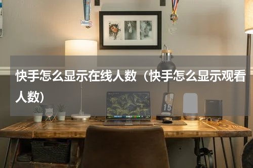 快手怎么显示在线人数（快手怎么显示观看人数）
