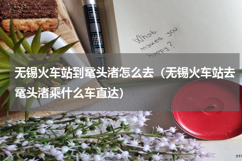 无锡火车站到鼋头渚怎么去（无锡火车站去鼋头渚乘什么车直达）