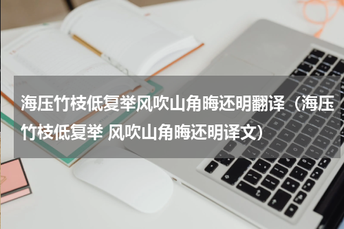 海压竹枝低复举风吹山角晦还明翻译（海压竹枝低复举 风吹山角晦还明译文）