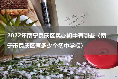 2022年南宁良庆区民办初中有哪些（南宁市良庆区有多少个初中学校）