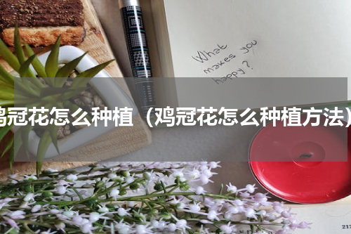 鸡冠花怎么种植（鸡冠花怎么种植方法）