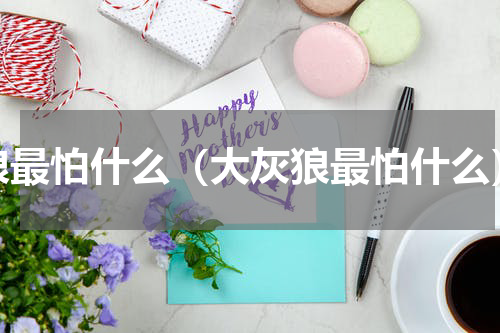 狼最怕什么（大灰狼最怕什么）