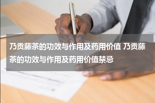 乃贡藤茶的功效与作用及药用价值 乃贡藤茶的功效与作用及药用价值禁忌