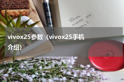 vivox25参数（vivox25手机介绍）