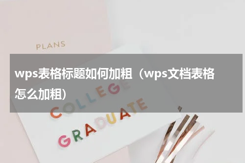 wps表格标题如何加粗（wps文档表格怎么加粗）
