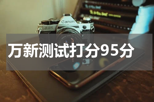 万新测试打分95分