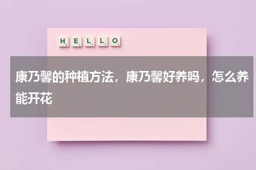 康乃馨的种植方法，康乃馨好养吗，怎么养能开花
