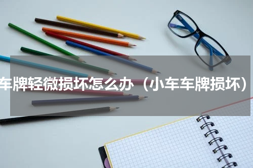 车牌轻微损坏怎么办（小车车牌损坏）