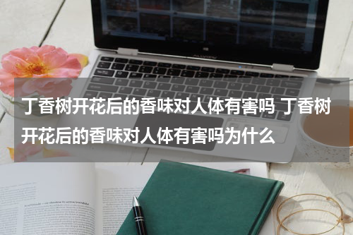 丁香树开花后的香味对人体有害吗 丁香树开花后的香味对人体有害吗为什么