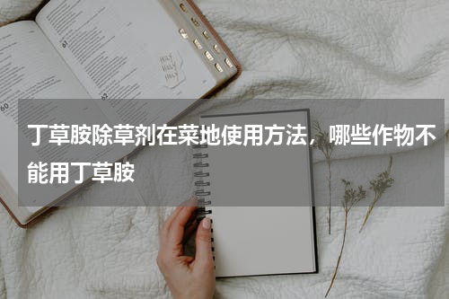 丁草胺除草剂在菜地使用方法，哪些作物不能用丁草胺