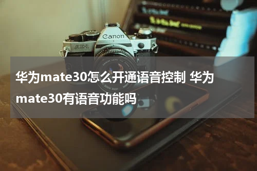 华为mate30怎么开通语音控制 华为mate30有语音功能吗