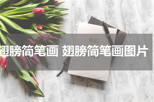 翅膀简笔画 翅膀简笔画图片