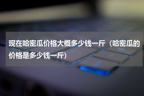 现在哈密瓜价格大概多少钱一斤（哈密瓜的价格是多少钱一斤）