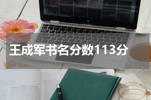 王成军书名分数113分