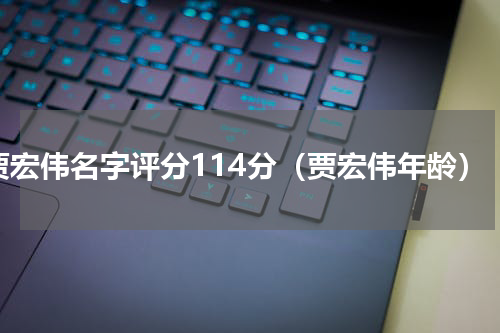 贾宏伟名字评分114分（贾宏伟年龄）