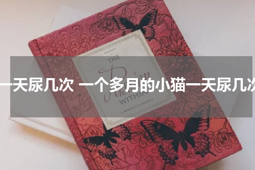 猫一天尿几次 一个多月的小猫一天尿几次