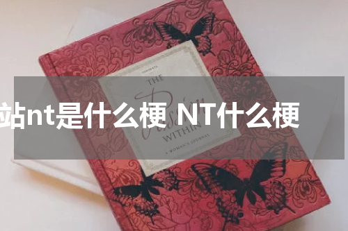 b站nt是什么梗 NT什么梗