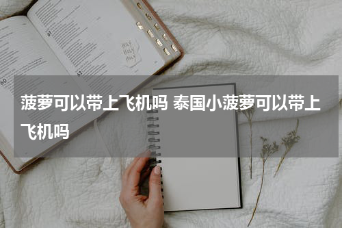 菠萝可以带上飞机吗 泰国小菠萝可以带上飞机吗