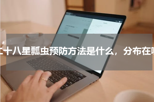 二十八星瓢虫预防方法是什么，分布在哪