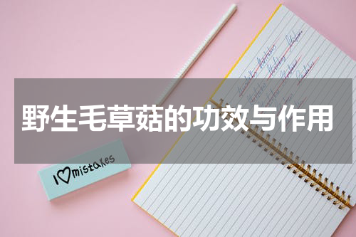 野生毛草菇的功效与作用