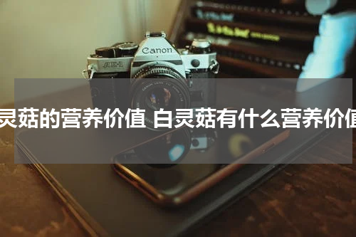 白灵菇的营养价值 白灵菇有什么营养价值