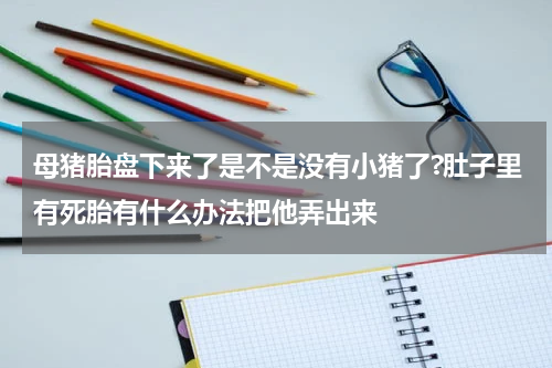 母猪胎盘下来了是不是没有小猪了?肚子里有死胎有什么办法把他弄出来