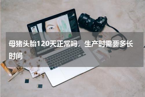 母猪头胎120天正常吗，生产时需要多长时间