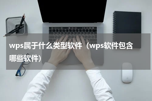wps属于什么类型软件（wps软件包含哪些软件）
