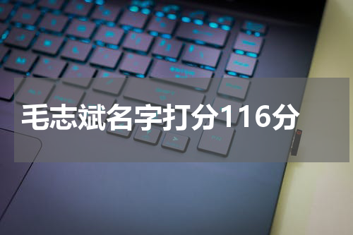 毛志斌名字打分116分